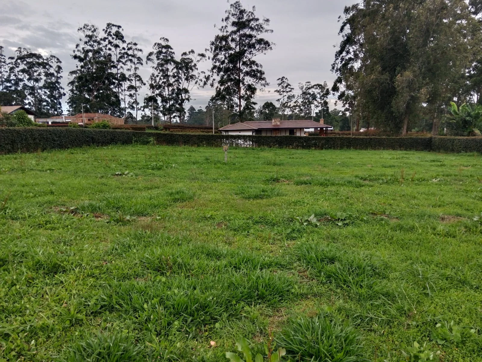 Vista principal de la parcela en Pradera del Madrigal