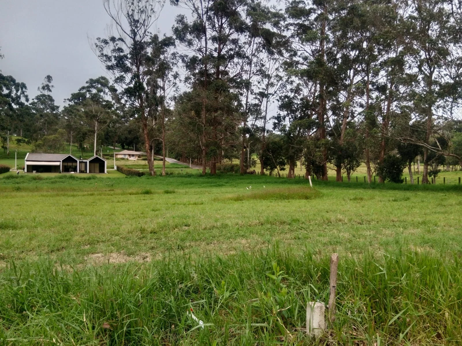 Vista de los terrenos y el entorno residencial