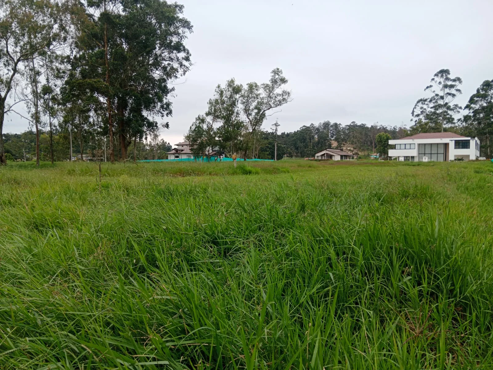 Vista frontal de uno de los terrenos