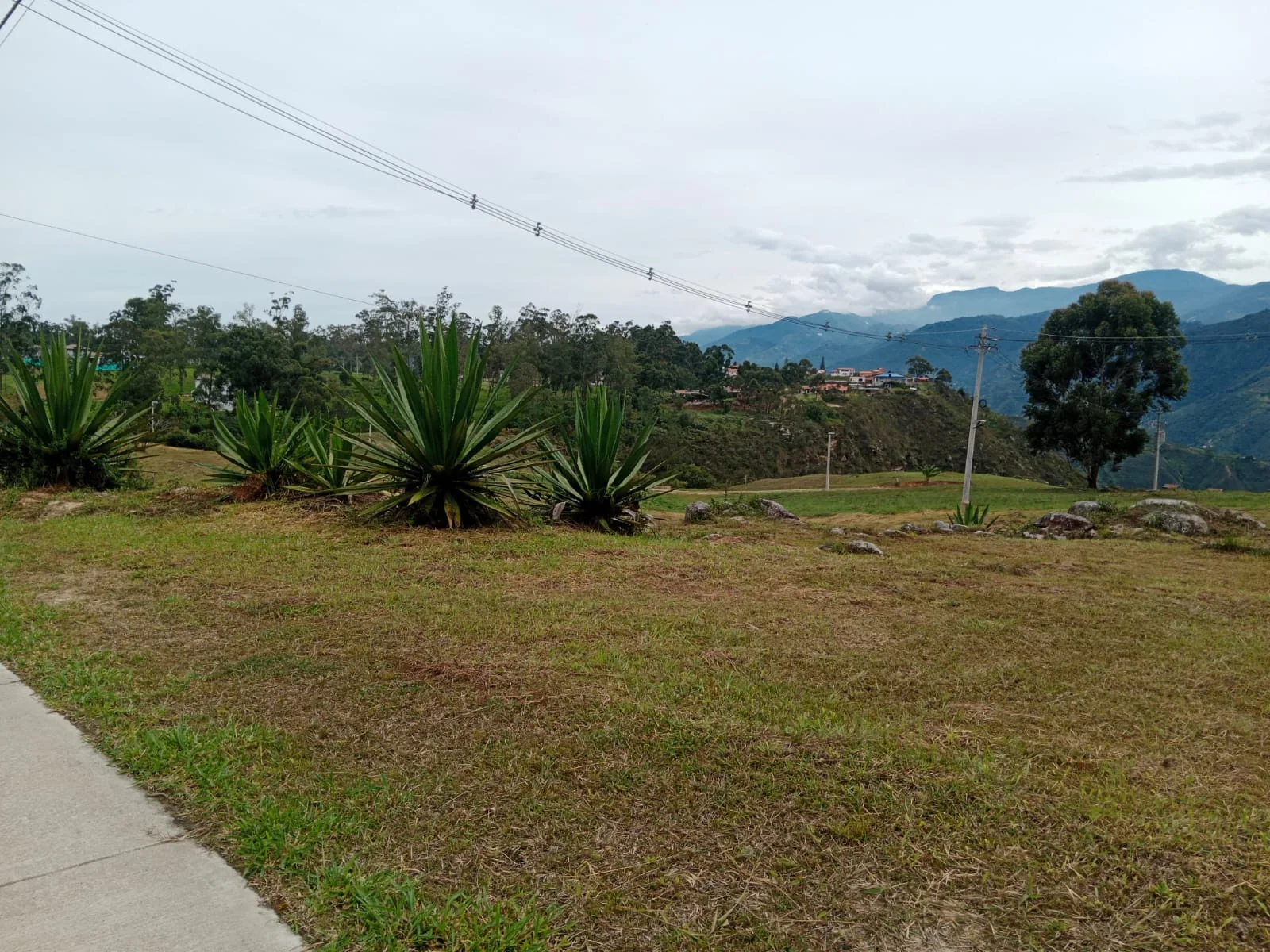 Zona verde con vista hacia el entorno montañoso