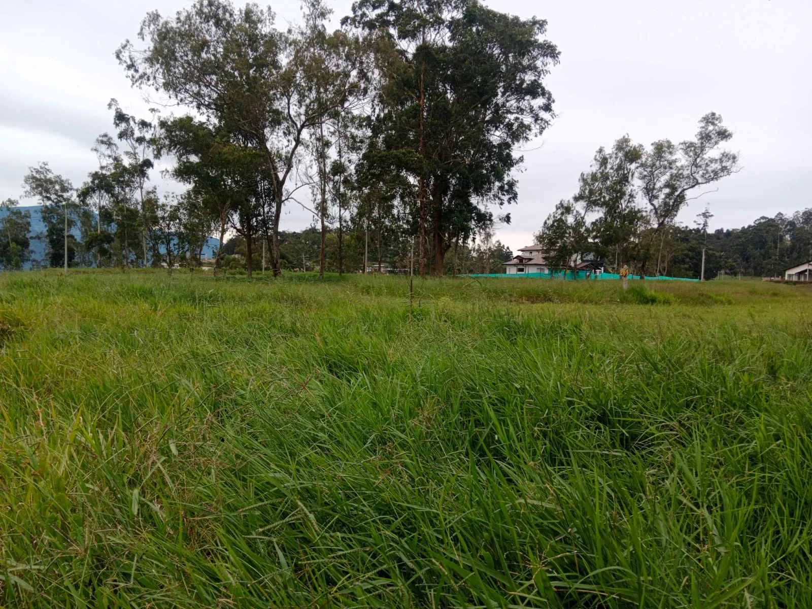 Zona verde correspondiente al conjunto de parcelas