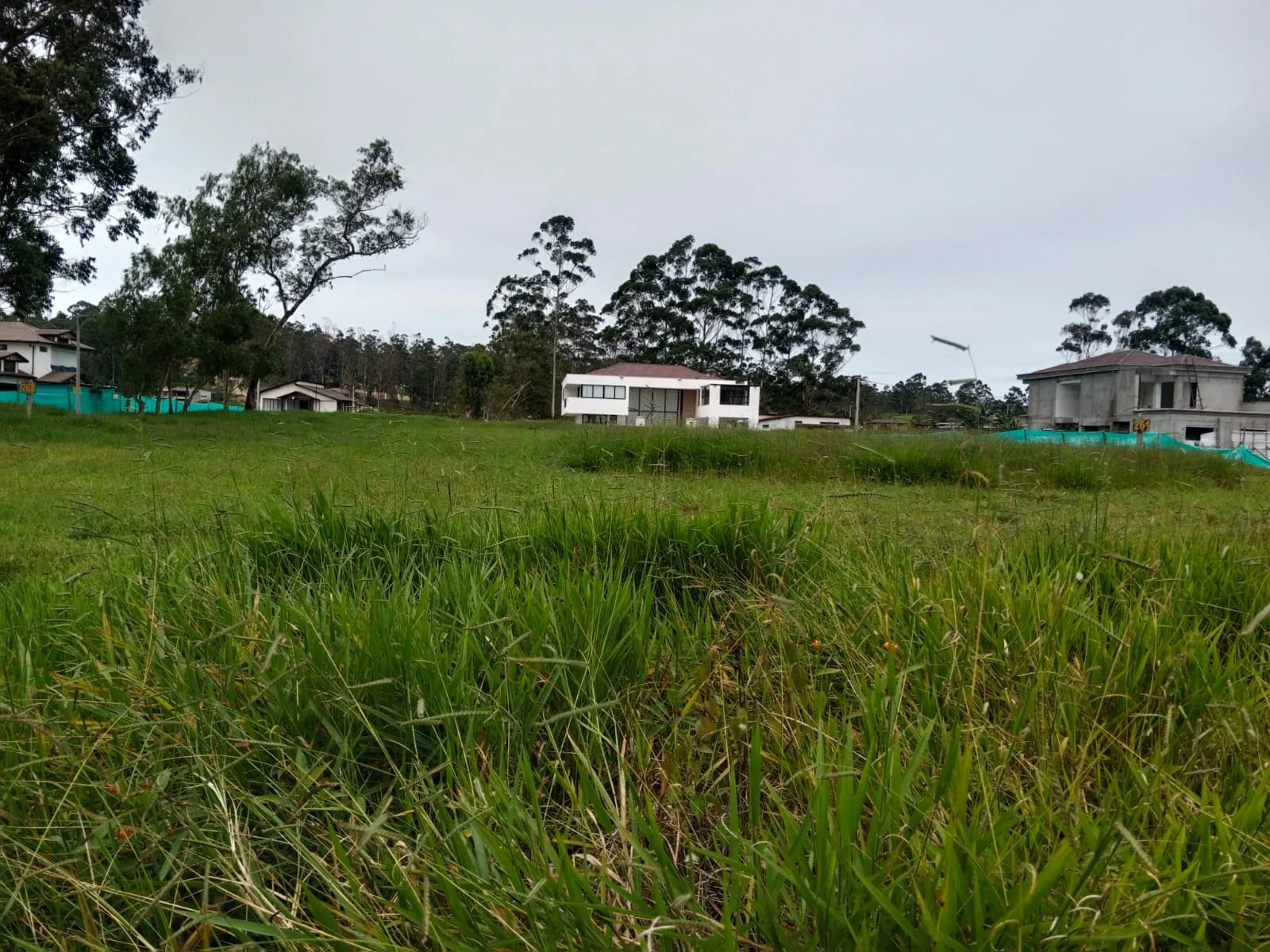 Vista del entorno residencial del condominio