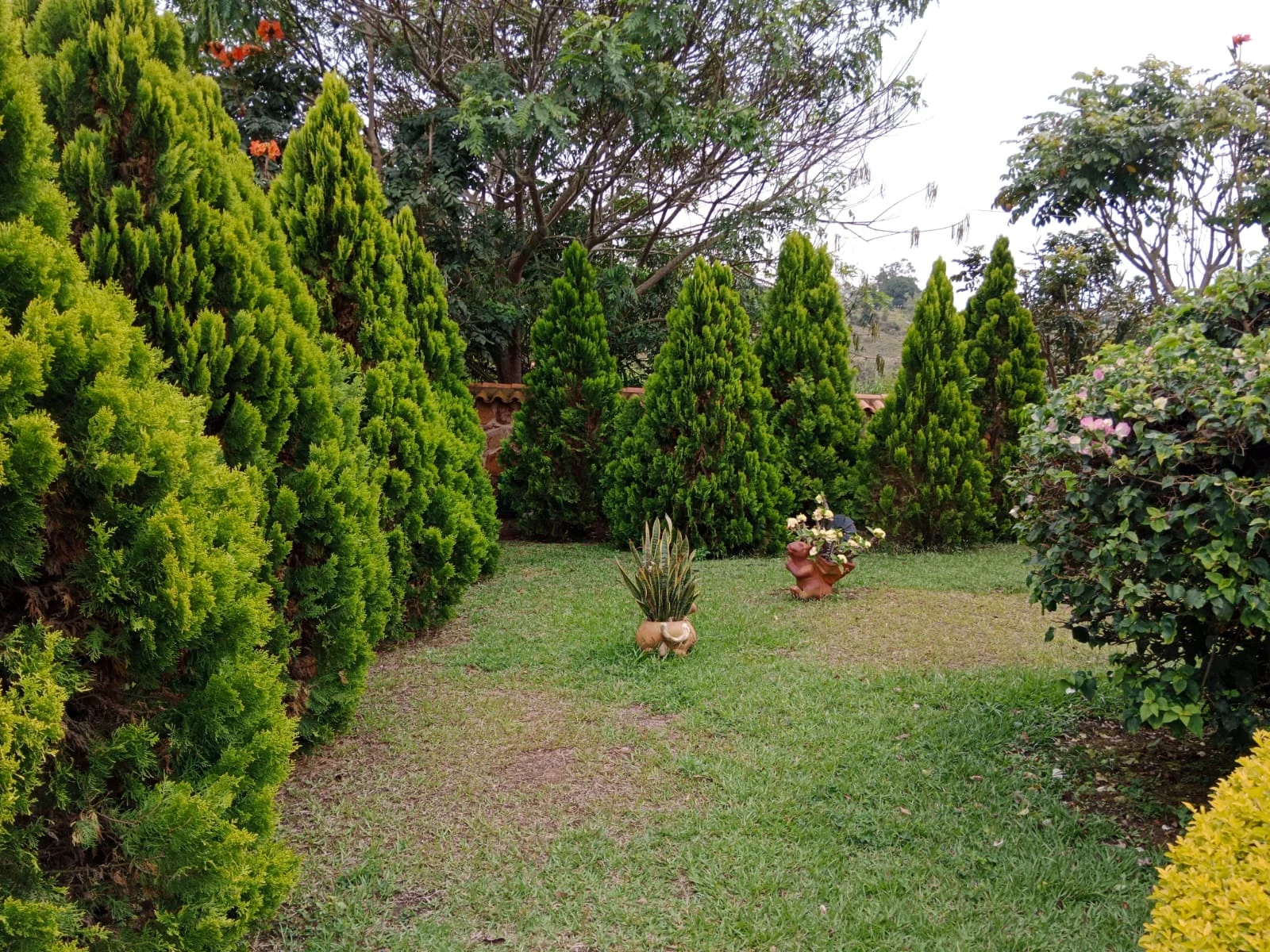 Jardín interior de la cabaña en Mesa de los Santos